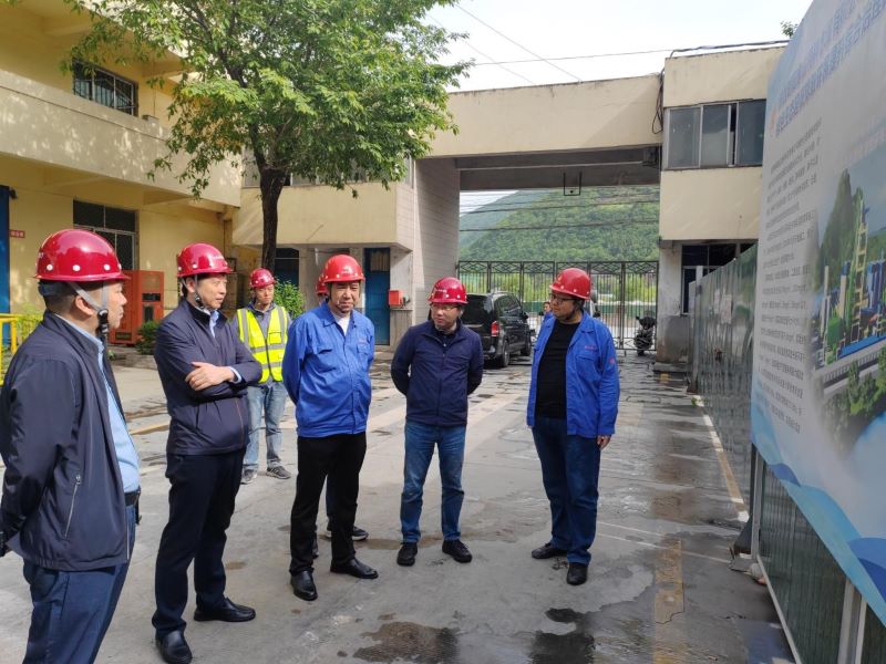 院公司董事一行前往陜西略陽象山水泥項目進行調研